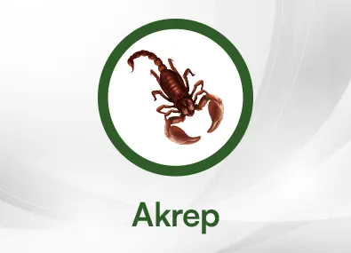 Akrep